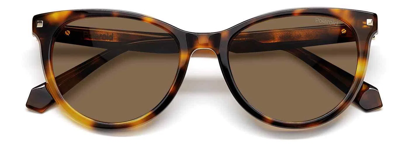 Polaroid Core Polaroid4111 Sunglasses - view 10
